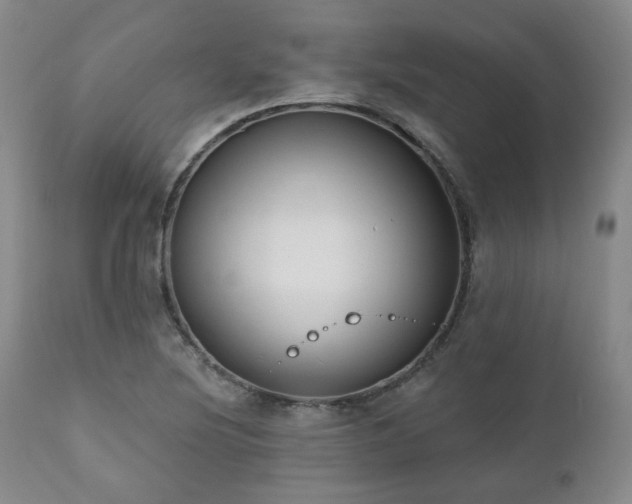 X0000111021220200906191644