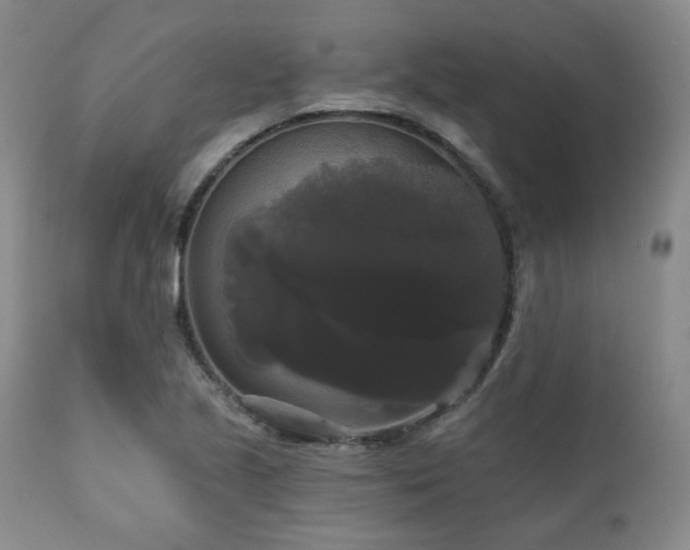 X0000111021221200906191644