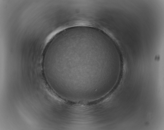 X0000111021222200906191644