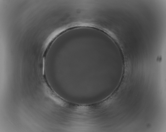X0000111021223200906191644