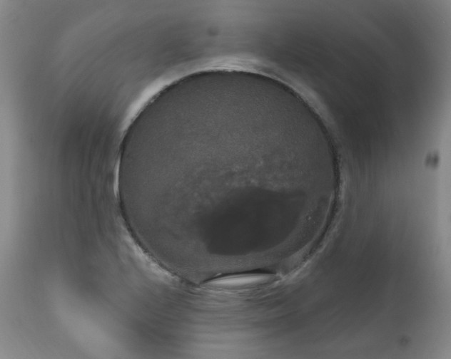 X0000111021224200906191644