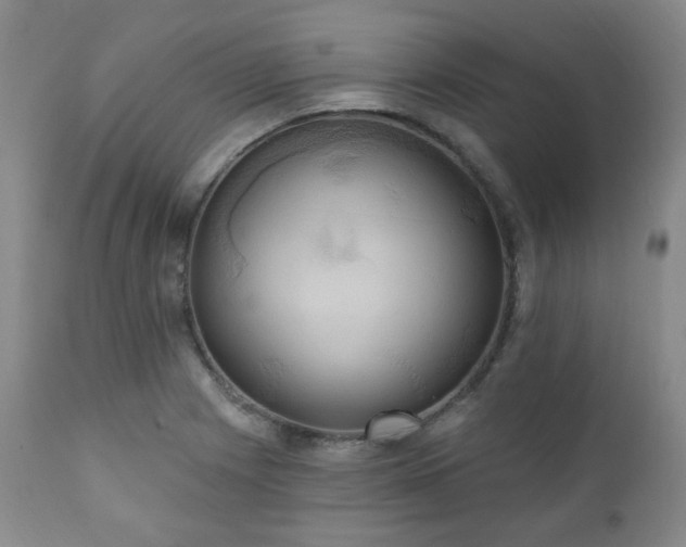 X0000111021225200906191644