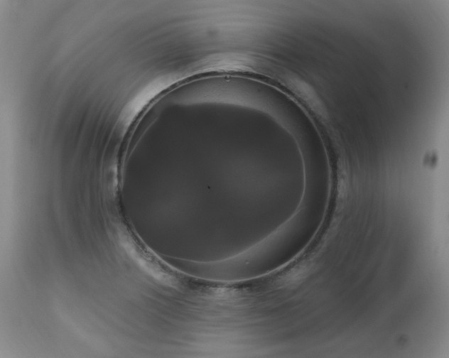 X0000111021226200906191644