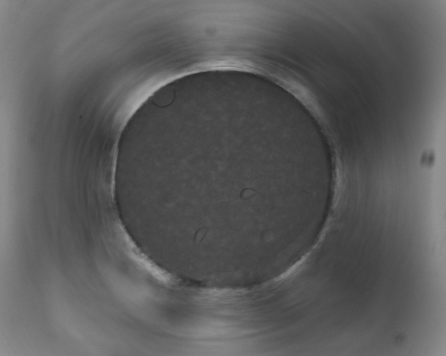 X0000111021228200906191644
