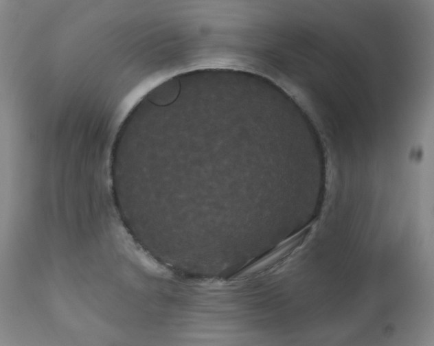 X0000111021230200906191644
