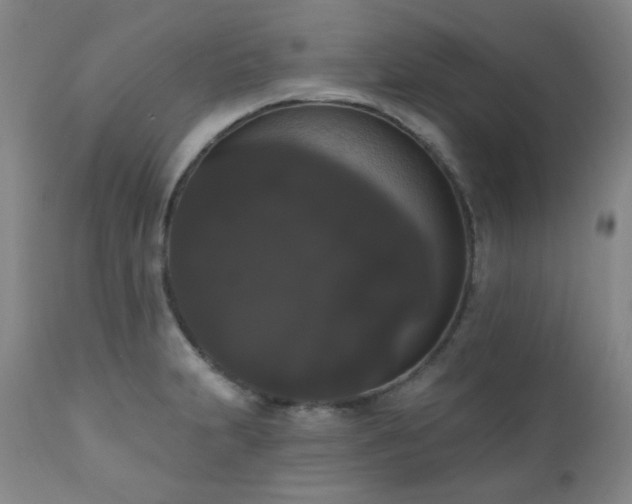 X0000111021231200906191644