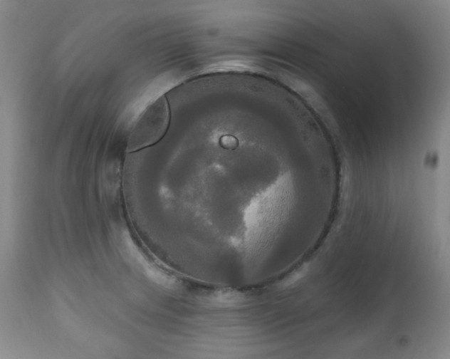 X0000111021233200906191644