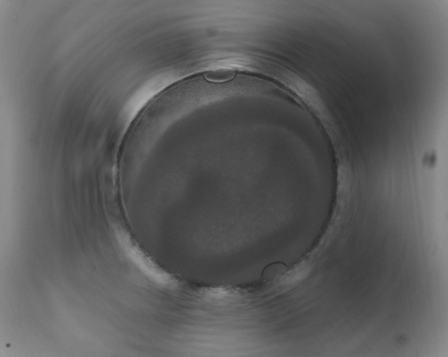 X0000111021234200906191644