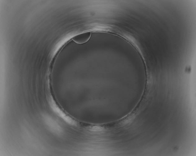 X0000111021235200906191644