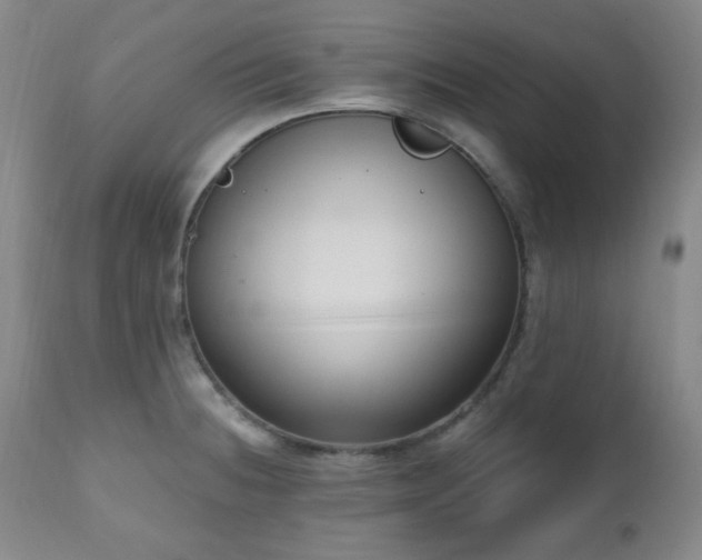 X0000111021236200906191644