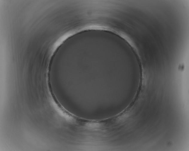 X0000111021237200906191644