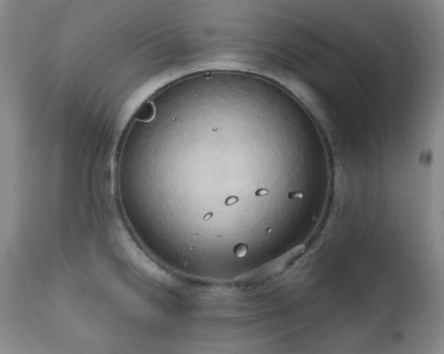 X0000111021238200906191645