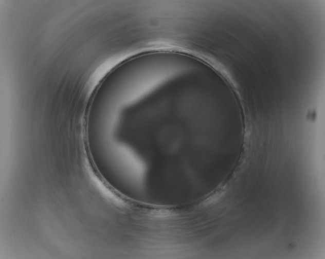 X0000111021239200906191645
