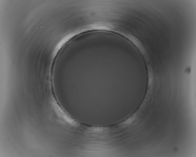 X0000111021240200906191645