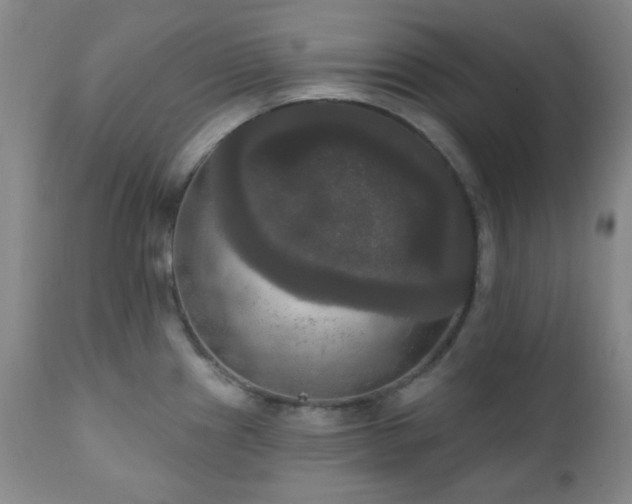 X0000111021241200906191645