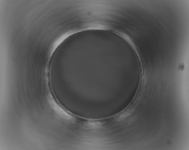 X0000111021243200906191645