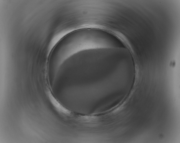 X0000111021244200906191645