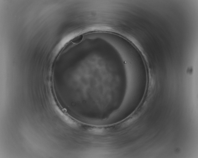 X0000111021245200906191645