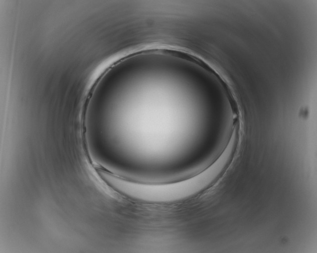X0000111021246200906191645