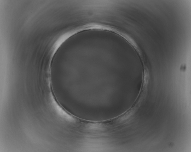 X0000111021247200906191645
