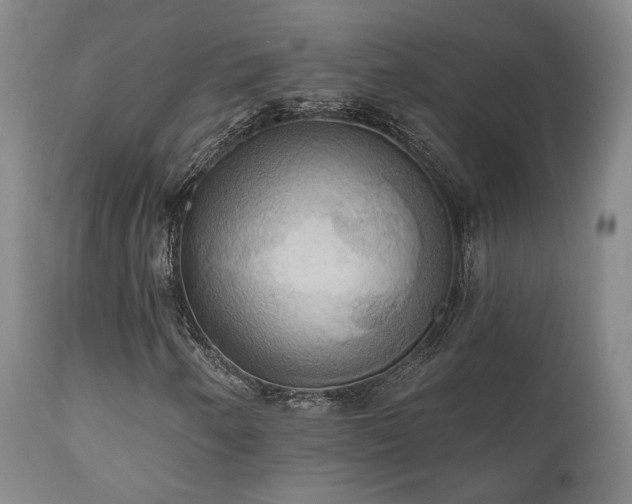 X0000111021250200906191644