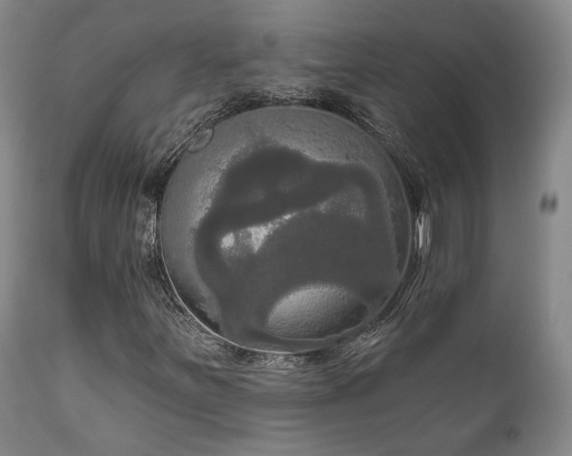 X0000111021251200906191644