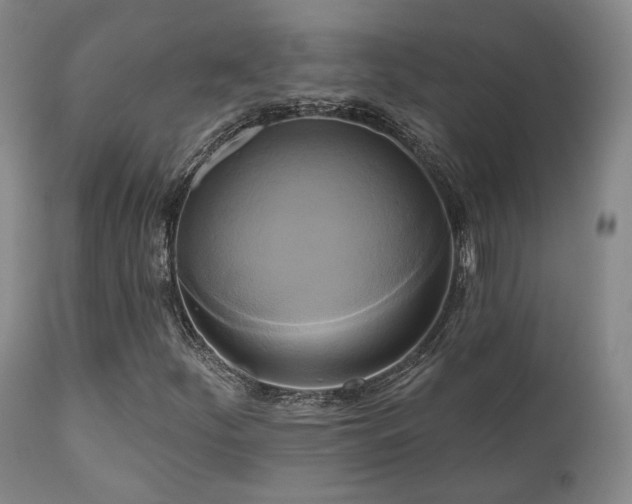 X0000111021252200906191644