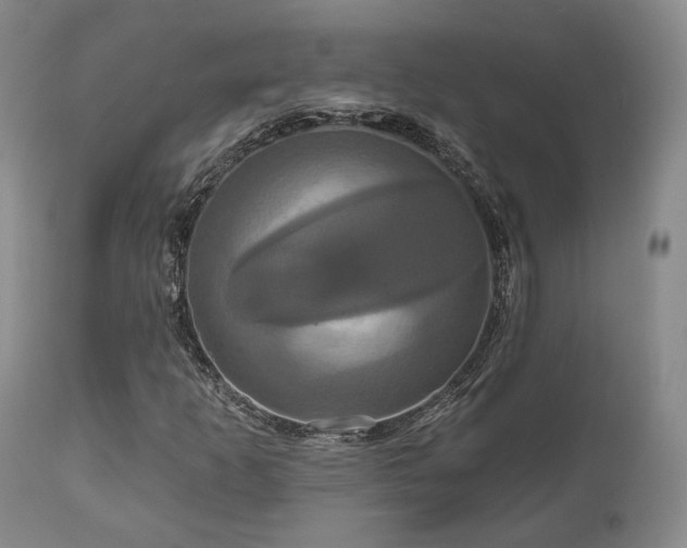 X0000111021253200906191644