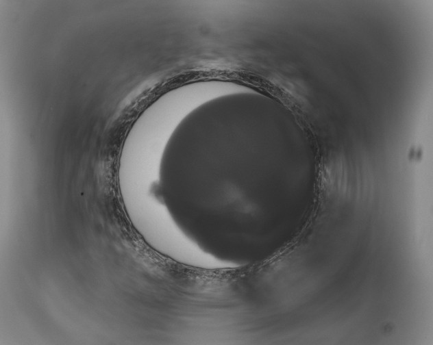 X0000111021254200906191644