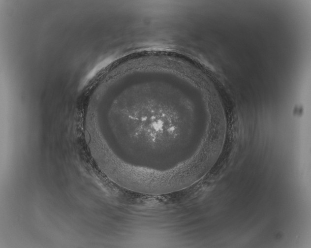 X0000111021255200906191644