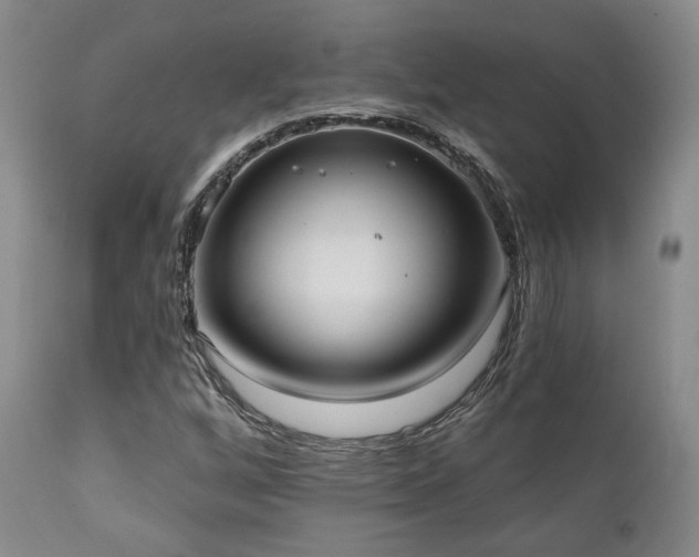 X0000111021256200906191644