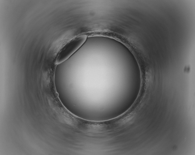 X0000111021257200906191644