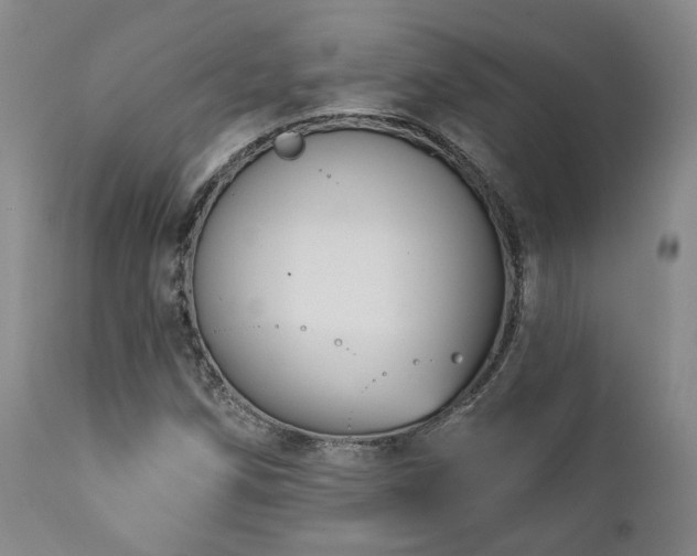 X0000111021258200906191644