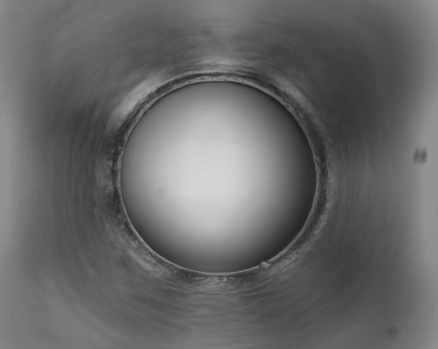 X0000111021259200906191644