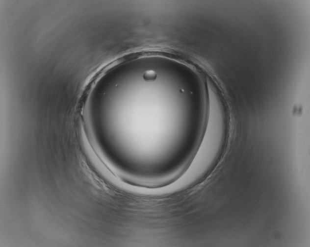 X0000111021260200906191644