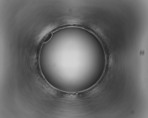 X0000111021261200906191644