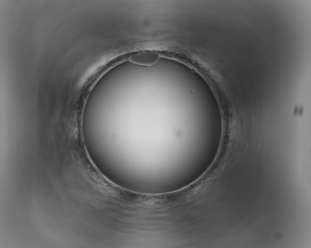 X0000111021262200906191644
