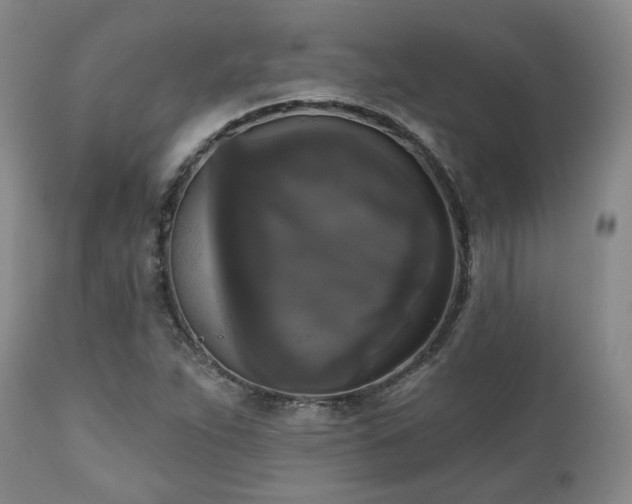 X0000111021263200906191644