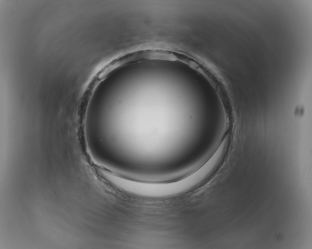 X0000111021264200906191644