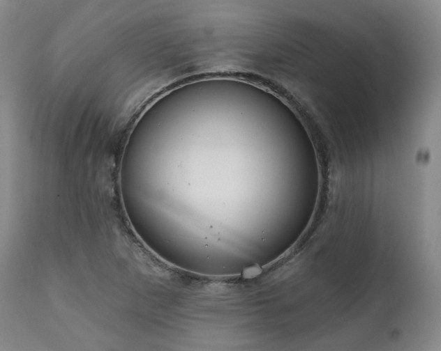 X0000111021265200906191644