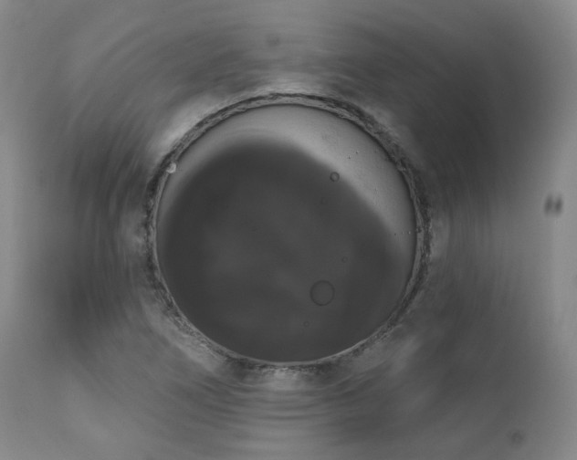 X0000111021266200906191644
