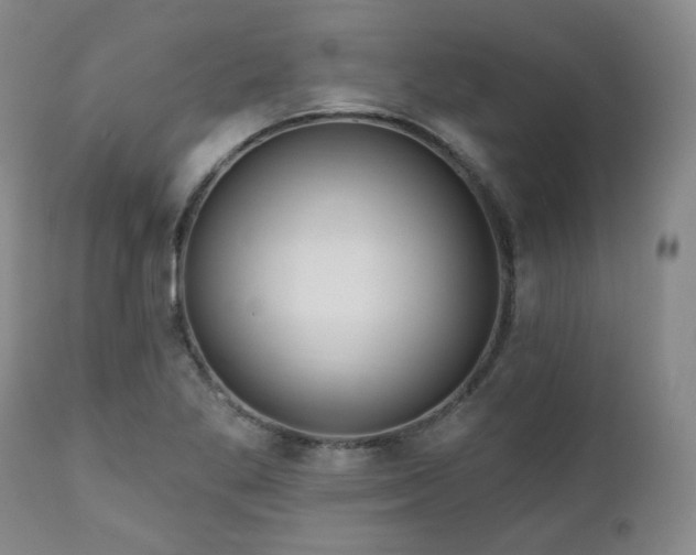 X0000111021269200906191644