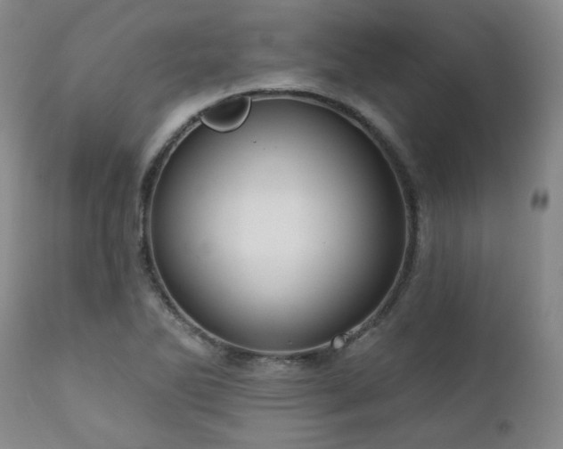 X0000111021270200906191644