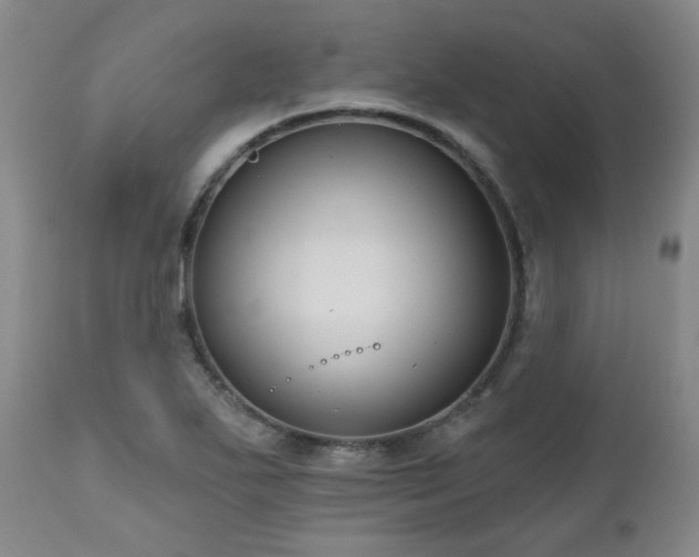 X0000111021271200906191644