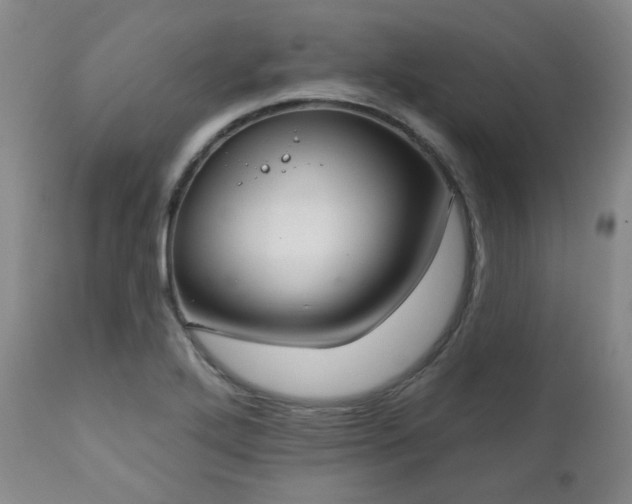 X0000111021272200906191644