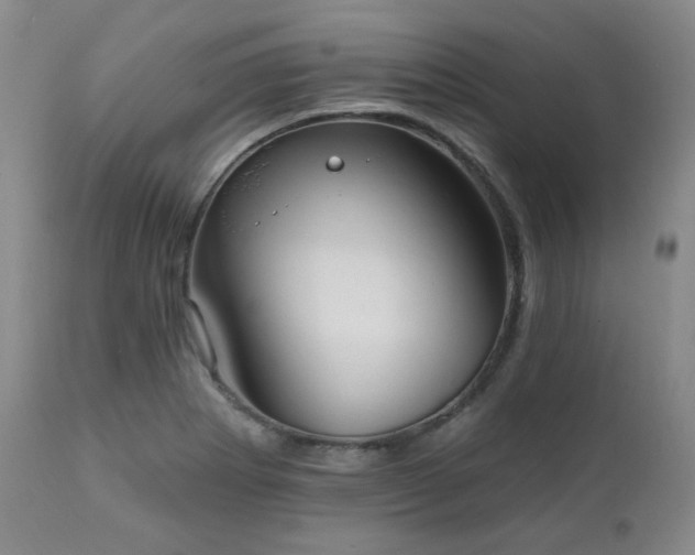 X0000111021273200906191643
