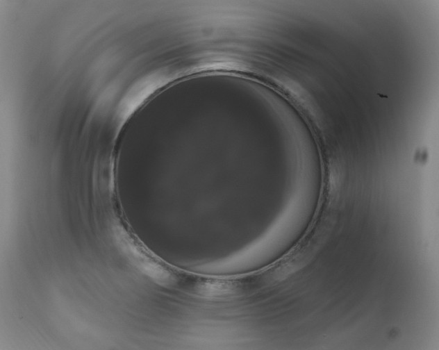 X0000111021274200906191643
