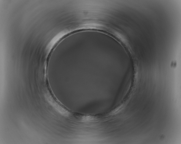 X0000111021275200906191643