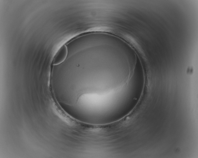 X0000111021276200906191643