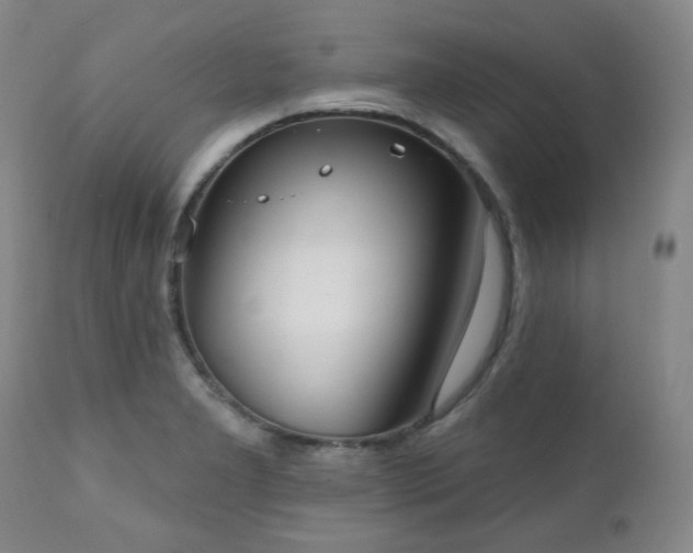 X0000111021277200906191643